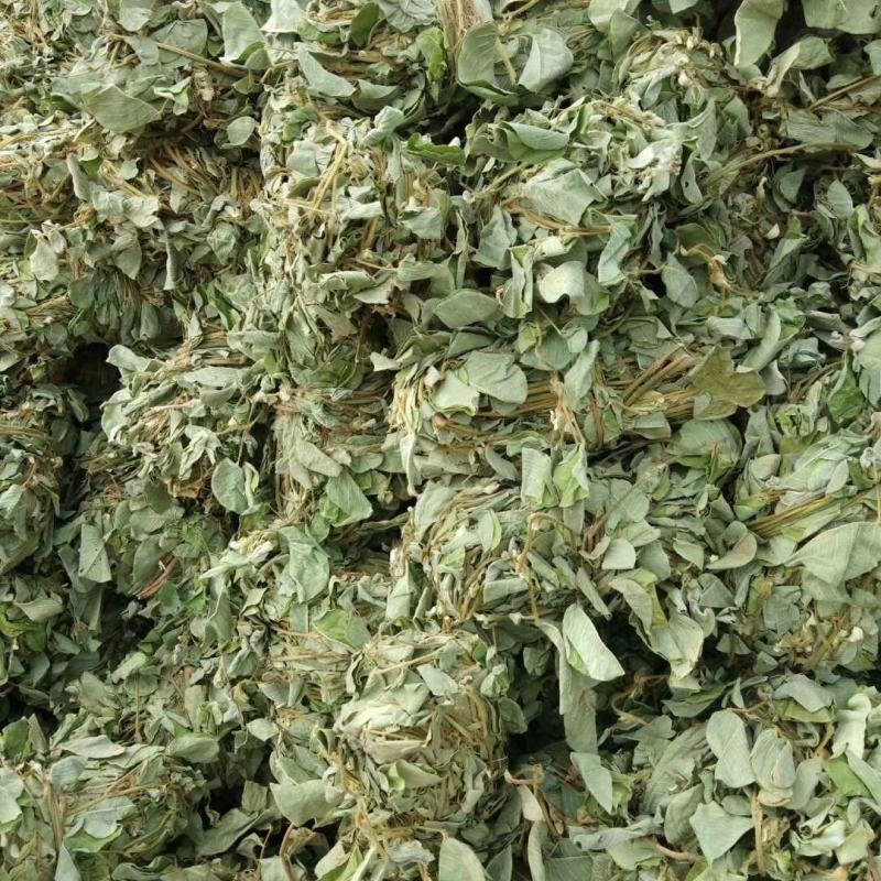 金钱草～新货扎把新货～1公斤起售～量大优惠～