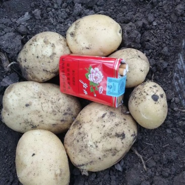 尤金885大量上市