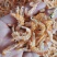 即食烘干南极磷虾淡干大虾皮海鲜干货虾皮虾仁海米磷虾