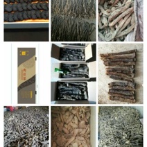 产地直销内蒙古肉苁蓉条子货，鲜干片