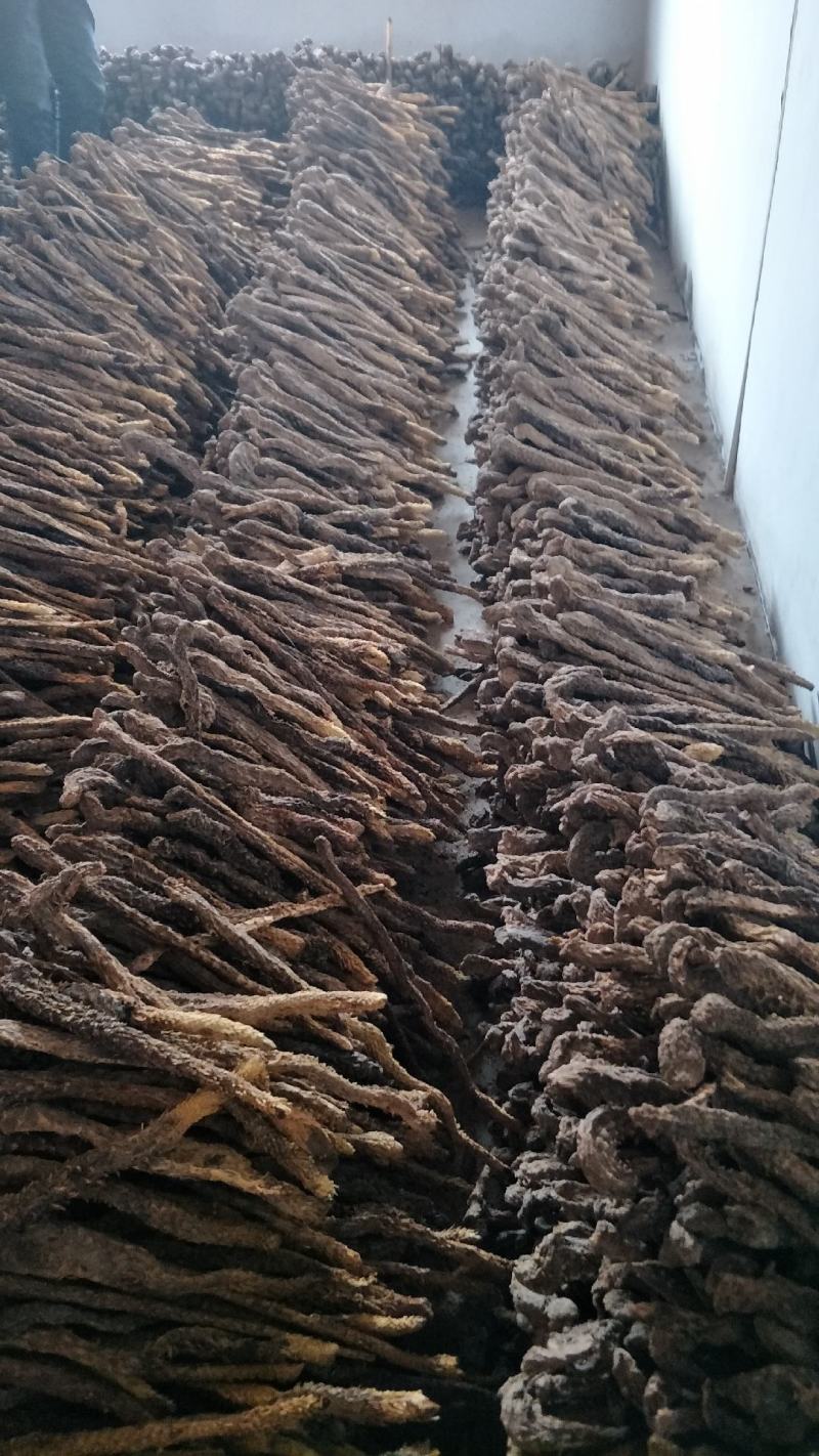 产地直销内蒙古肉苁蓉条子货，鲜干片