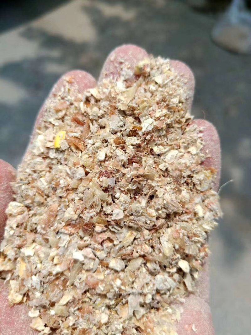 玉米皮，东北大片玉米皮粮库货，颜色金黄，无霉变大量供应。