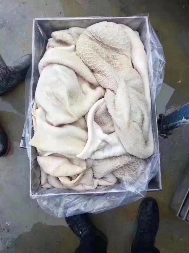半成熟牛肚，国产纯干大牛肚，质量好，厂家直销，量大从优