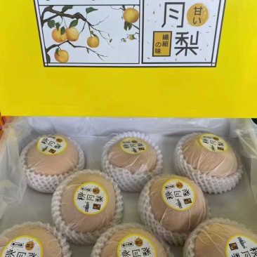 【供应】秋月梨代收加工/量大质优/承接各大平台商超批发商