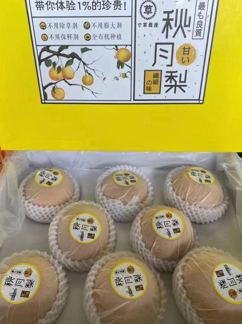 【供应】秋月梨代收加工/量大质优/承接各大平台商超批发商