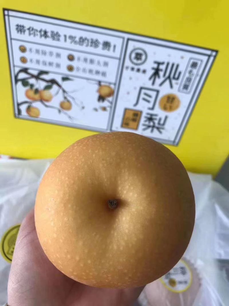 【供应】秋月梨代收加工/量大质优/承接各大平台商超批发商