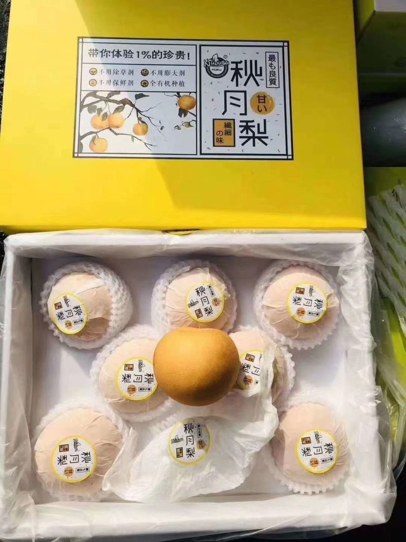 【供应】秋月梨代收加工/量大质优/承接各大平台商超批发商