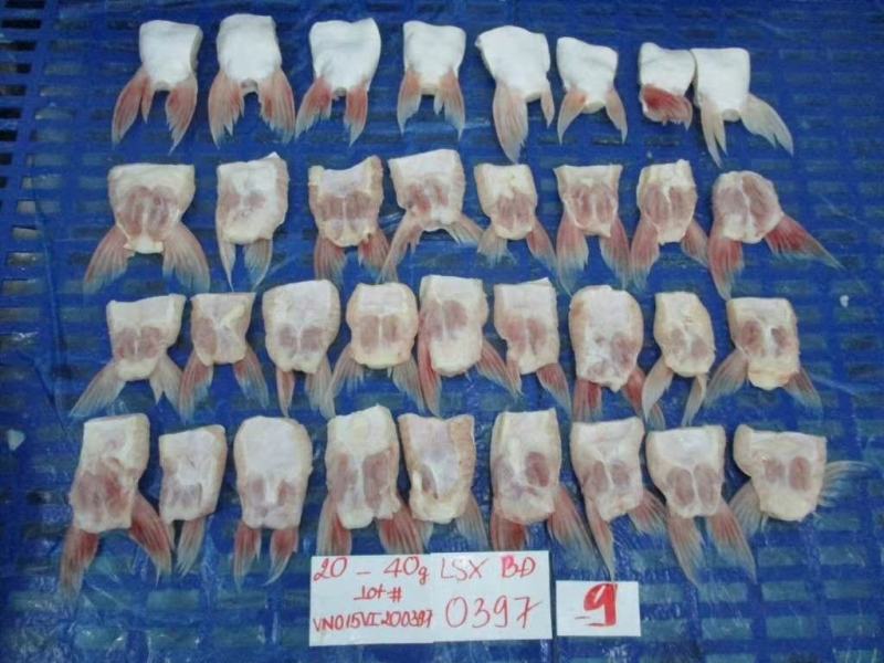 越南正关进口板冻巴沙鱼翅，鱼鳍。一件20斤