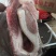 【高质量】后上五花肉，一箱两片装手续齐全欢迎咨询