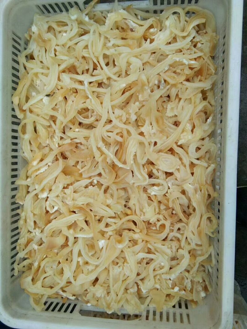 优质牛耳丝，好的食材，夏天凉拌佳品，真空包装，5斤一包