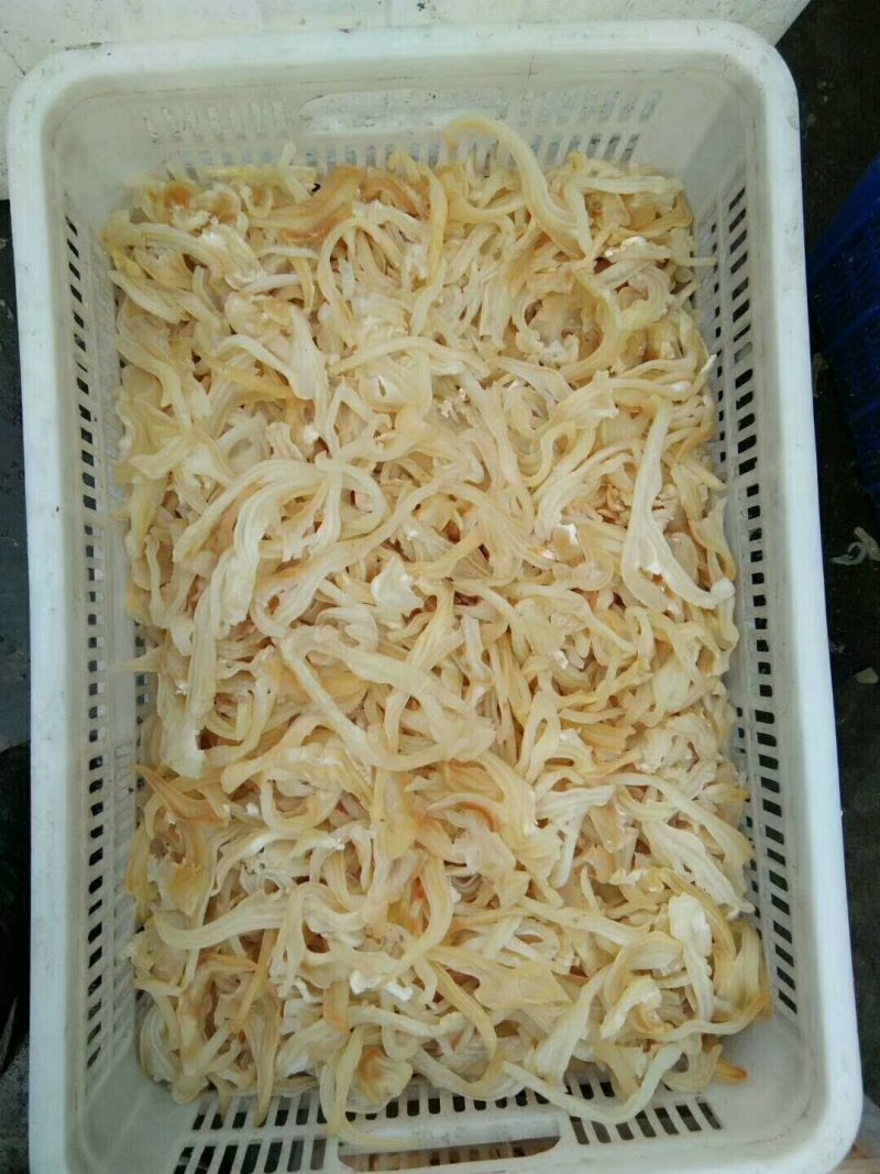 优质牛耳丝，好的食材，夏天凉拌佳品，真空包装，5斤一包