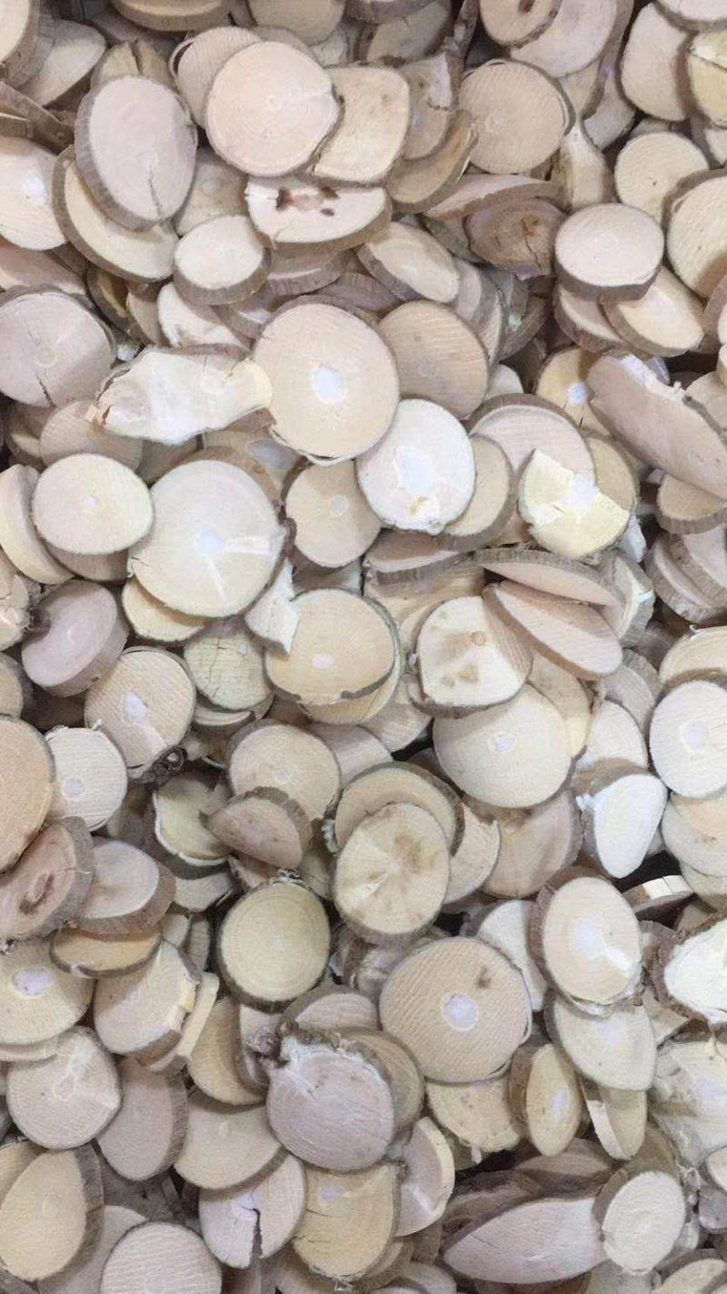 桑枝片【包邮】三斤起发货可批量可零售量大从优