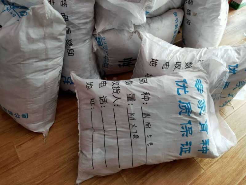 （推荐）耐热耐抽苔墨渌厚实菠菜种子墨禧