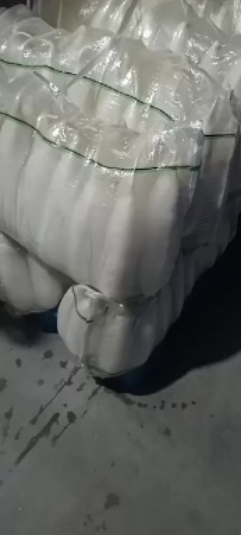 金品大白罗卜皮厚，肉嫩，口感脆甜，预定中，6月20号上市