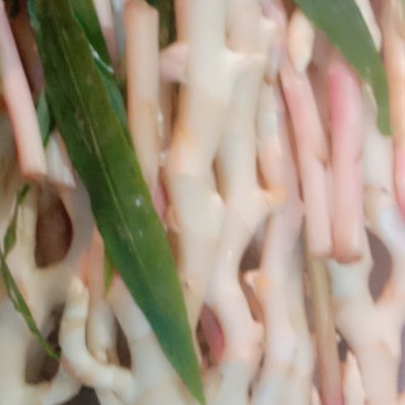 冬吃萝卜夏吃姜，不用医生开药方。