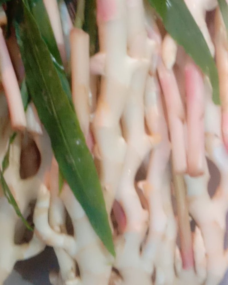 冬吃萝卜夏吃姜，不用医生开药方。