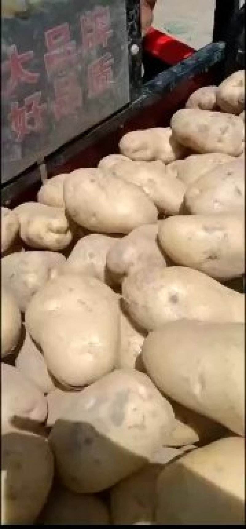 土豆，精品定西土豆，上市中