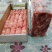雪花肥牛，高品质肥牛，热销产品，厂家直销