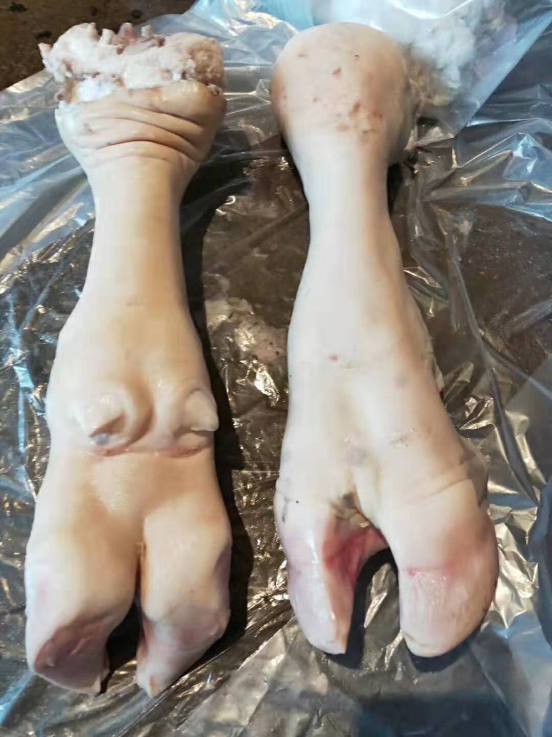 火烧牛蹄，，大公牛牛蹄，干净卫生，质量有保证