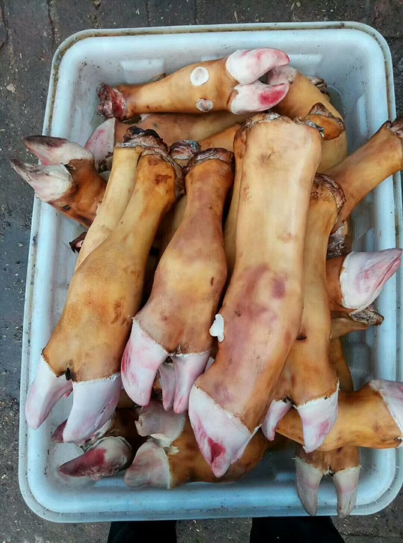 火烧牛蹄，，大公牛牛蹄，干净卫生，质量有保证