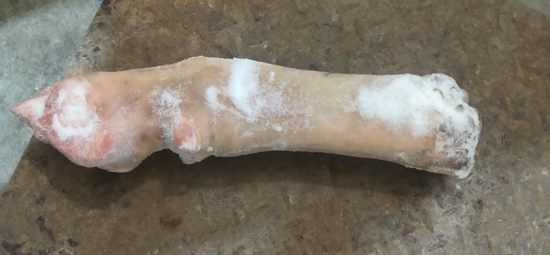火烧牛蹄，，大公牛牛蹄，干净卫生，质量有保证