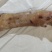 火烧牛蹄，，大公牛牛蹄，干净卫生，质量有保证