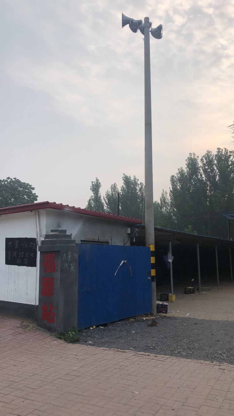 皇冠光梨二级梨新货一手货源需要的老板联系我吧