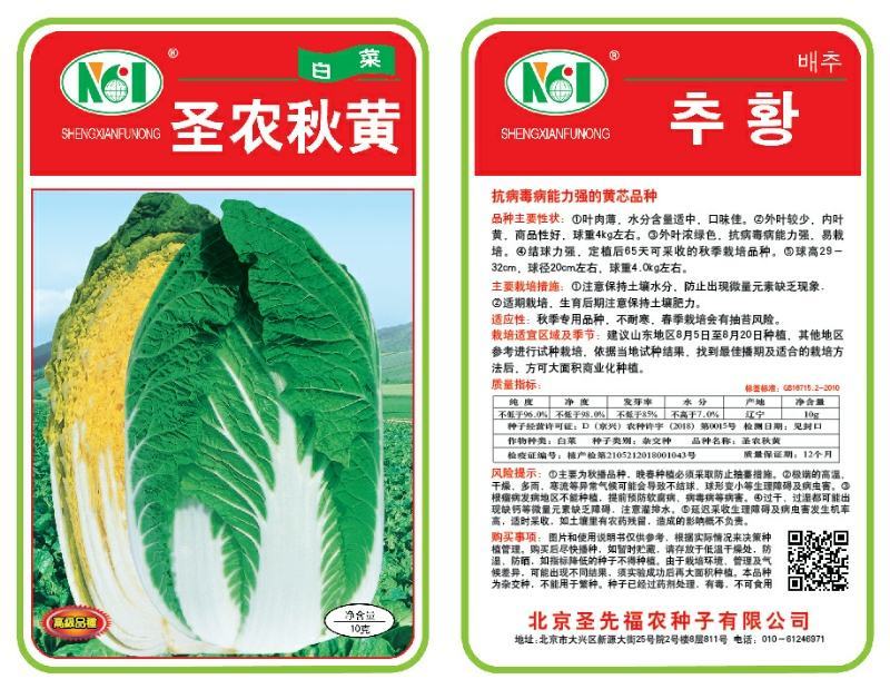 黄心白菜，抗病，口感甜，适合大面积种植！生长期55，