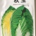 黄心白菜，抗病，口感甜，适合大面积种植！生长期55，