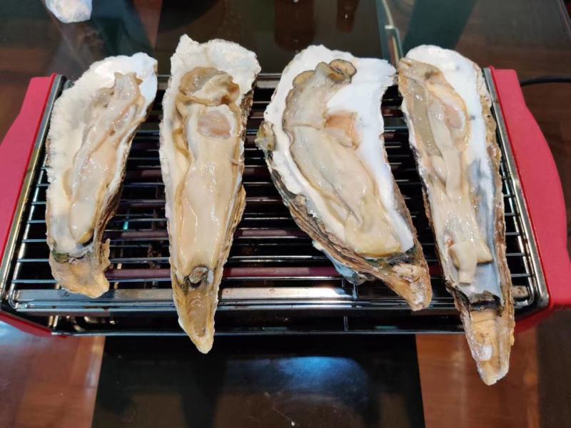 龙蚝蚝王贝龙蚝特大蚝，单只8两到3斤