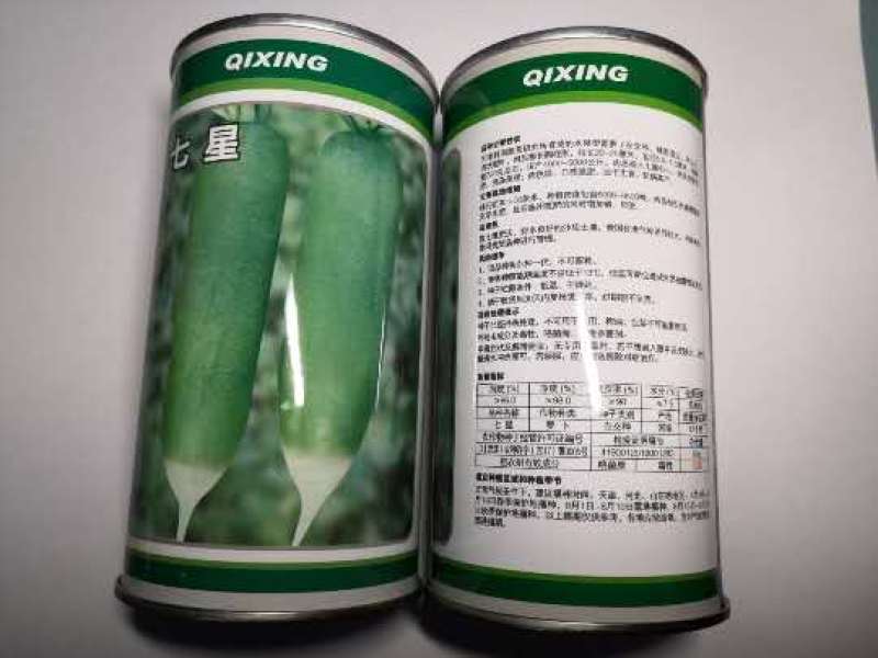 七星萝卜种子水果萝卜品种青皮青肉品种