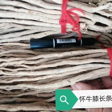 包邮怀牛膝长条大中小条，制牛膝中节大中小条现货供应