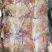 鱿鱼耳尾巴300/500～200/4000欢迎选购