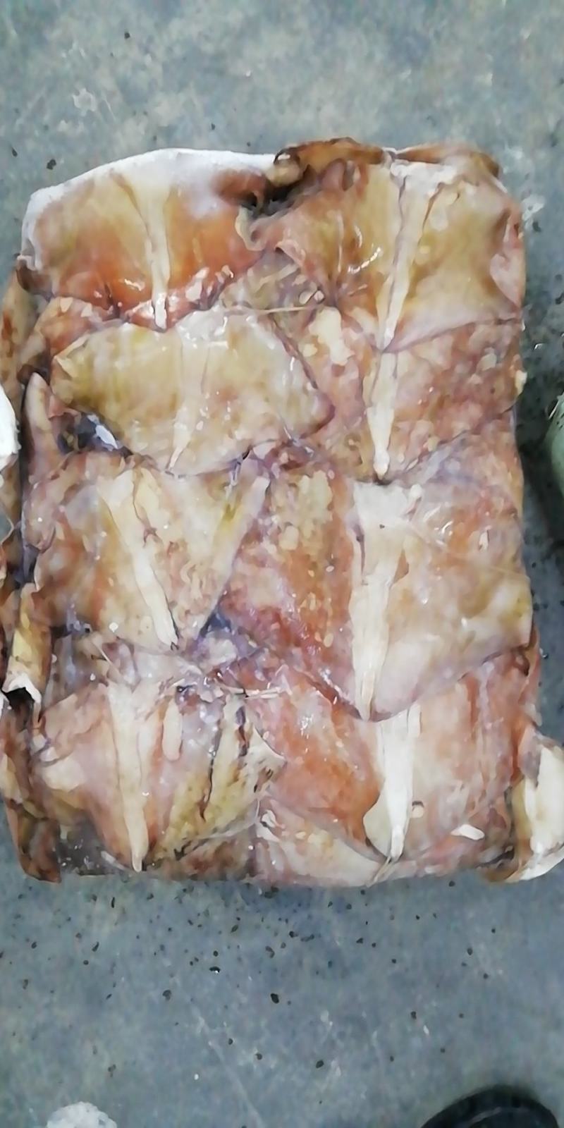 鱿鱼耳尾巴300/500～200/4000欢迎选购
