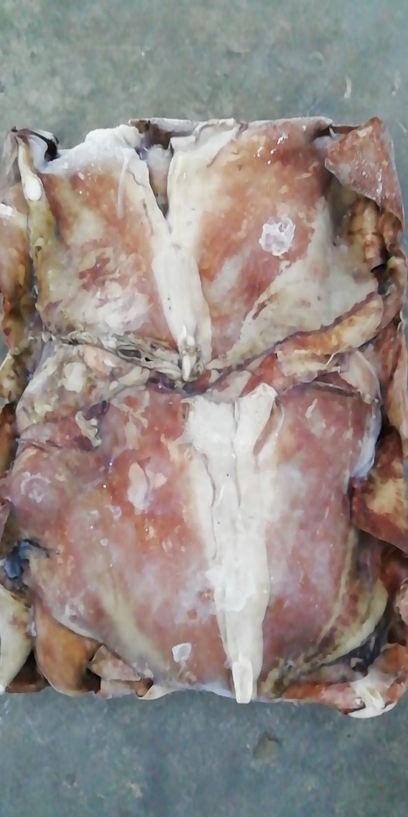 鱿鱼耳尾巴300/500～200/4000欢迎选购