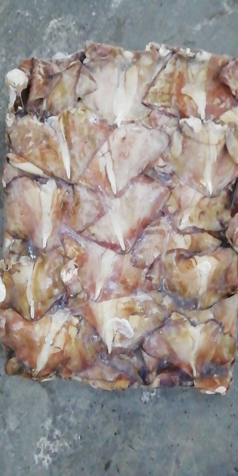 鱿鱼耳尾巴300/500～200/4000欢迎选购