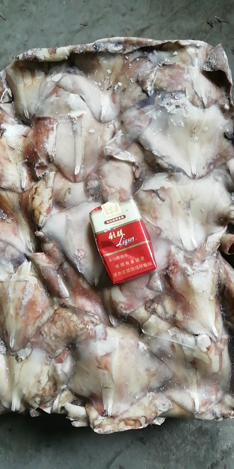鱿鱼耳尾巴300/500～200/4000欢迎选购