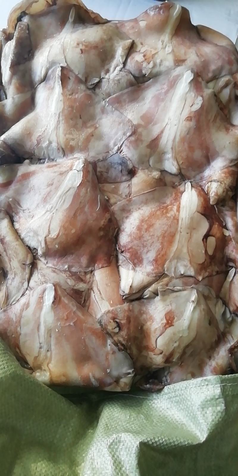 鱿鱼耳尾巴300/500～200/4000欢迎选购