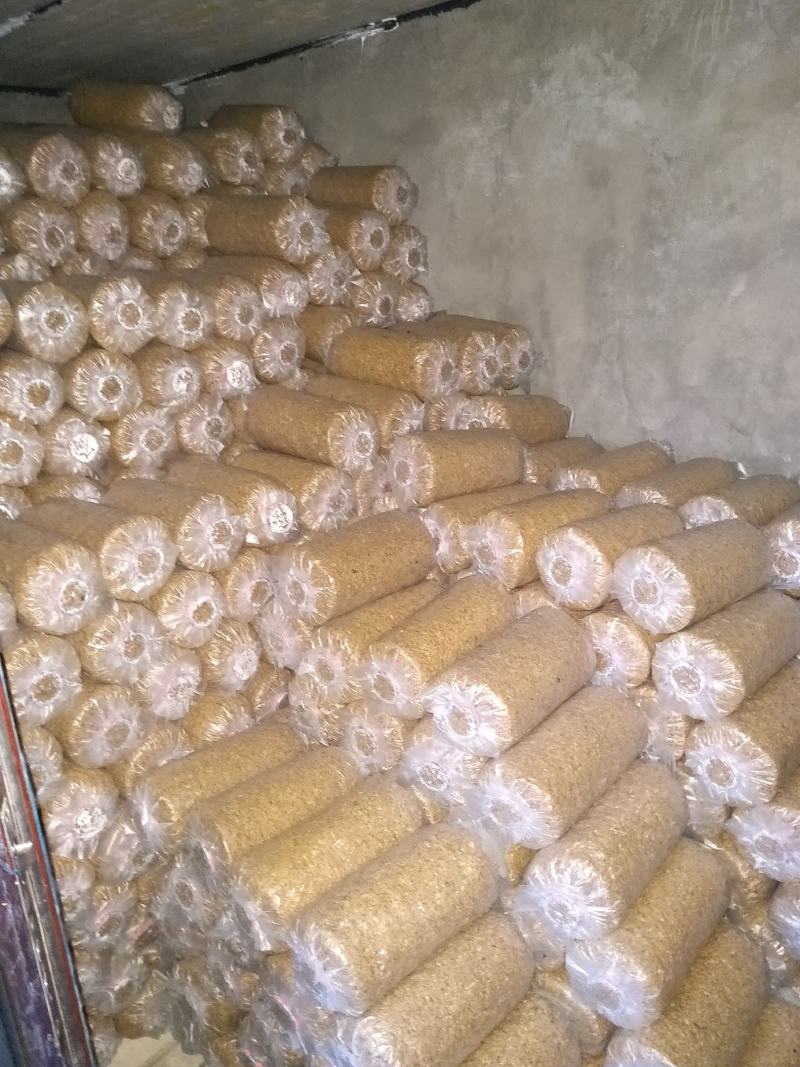 平菇出菇棒平菇菌棒平菇菌包产量高