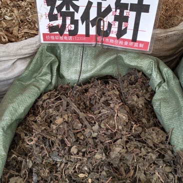中药材绣花针保证质量产地直销