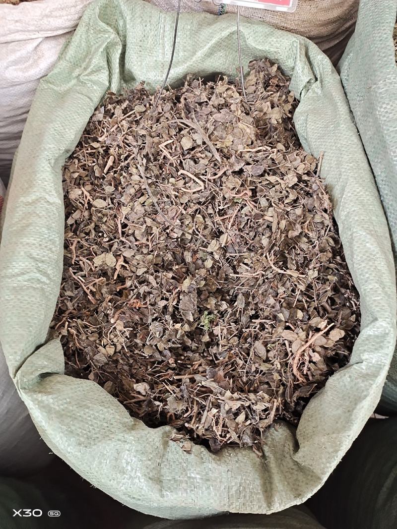 中药材绣花针保证质量产地直销