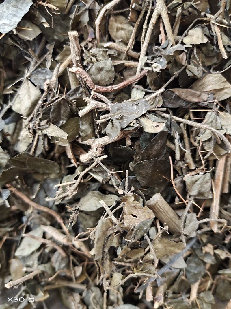 中药材绣花针保证质量产地直销