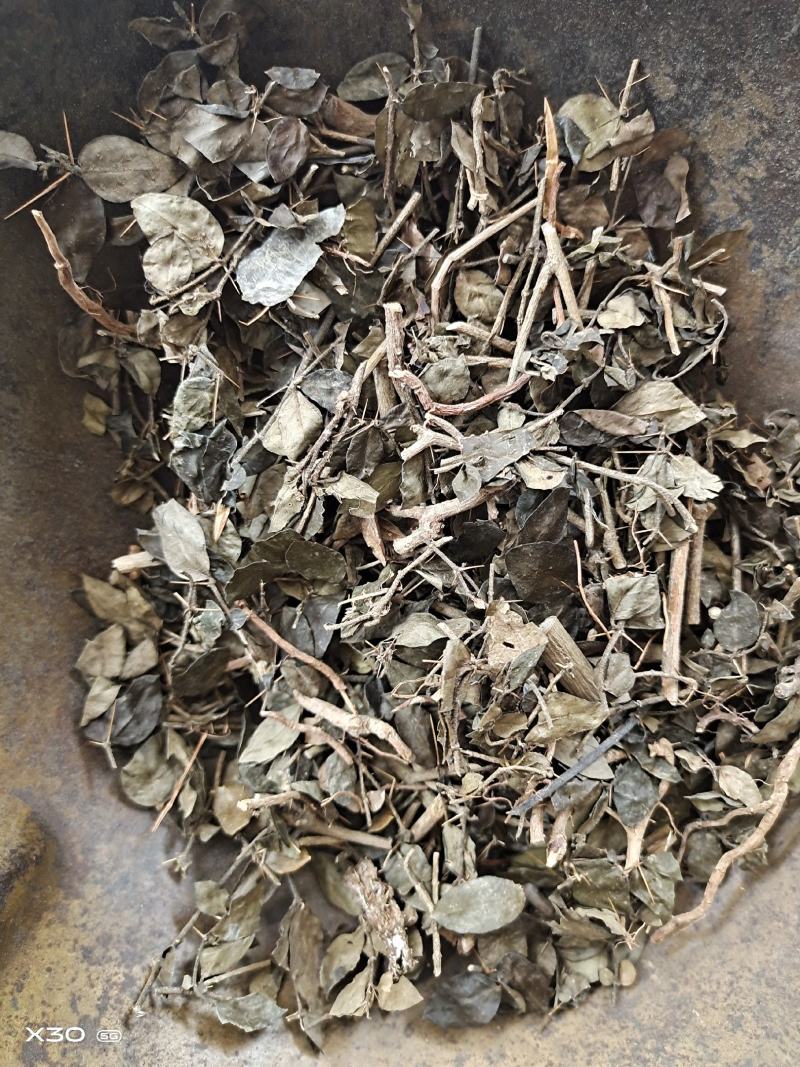 中药材绣花针保证质量产地直销