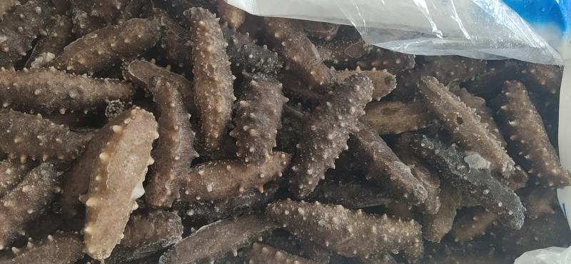 即食大连海参(各种头数都有货，也可以打成包装）