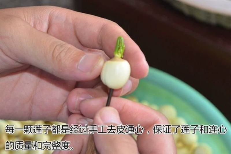 江西广昌莲子芯新货绿色饱满无杂质新鲜烘烤清火茶泡水莲芯