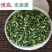 江西广昌莲子芯新货绿色饱满无杂质新鲜烘烤清火茶泡水莲芯