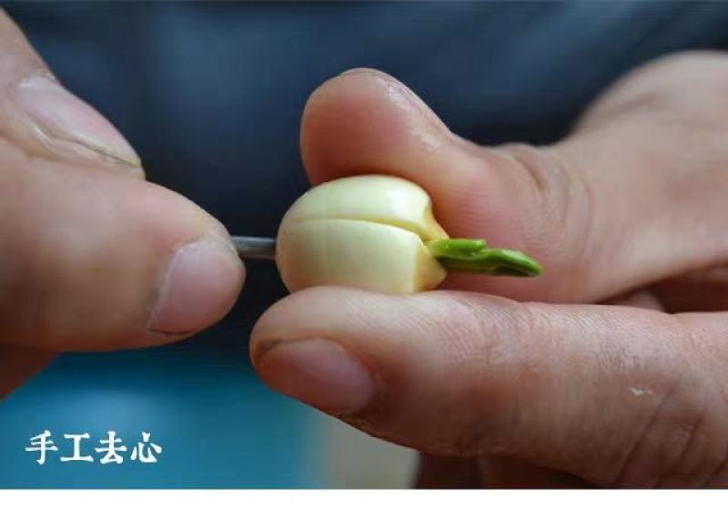 江西广昌莲子芯新货绿色饱满无杂质新鲜烘烤清火茶泡水莲芯