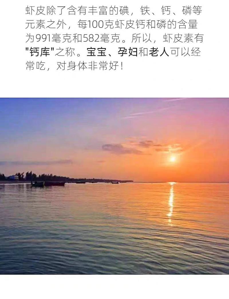 山东渤海湾无盐烘干虾皮，无盐，无盐，补钙佳品