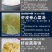 山东渤海湾无盐烘干虾皮，无盐，无盐，补钙佳品