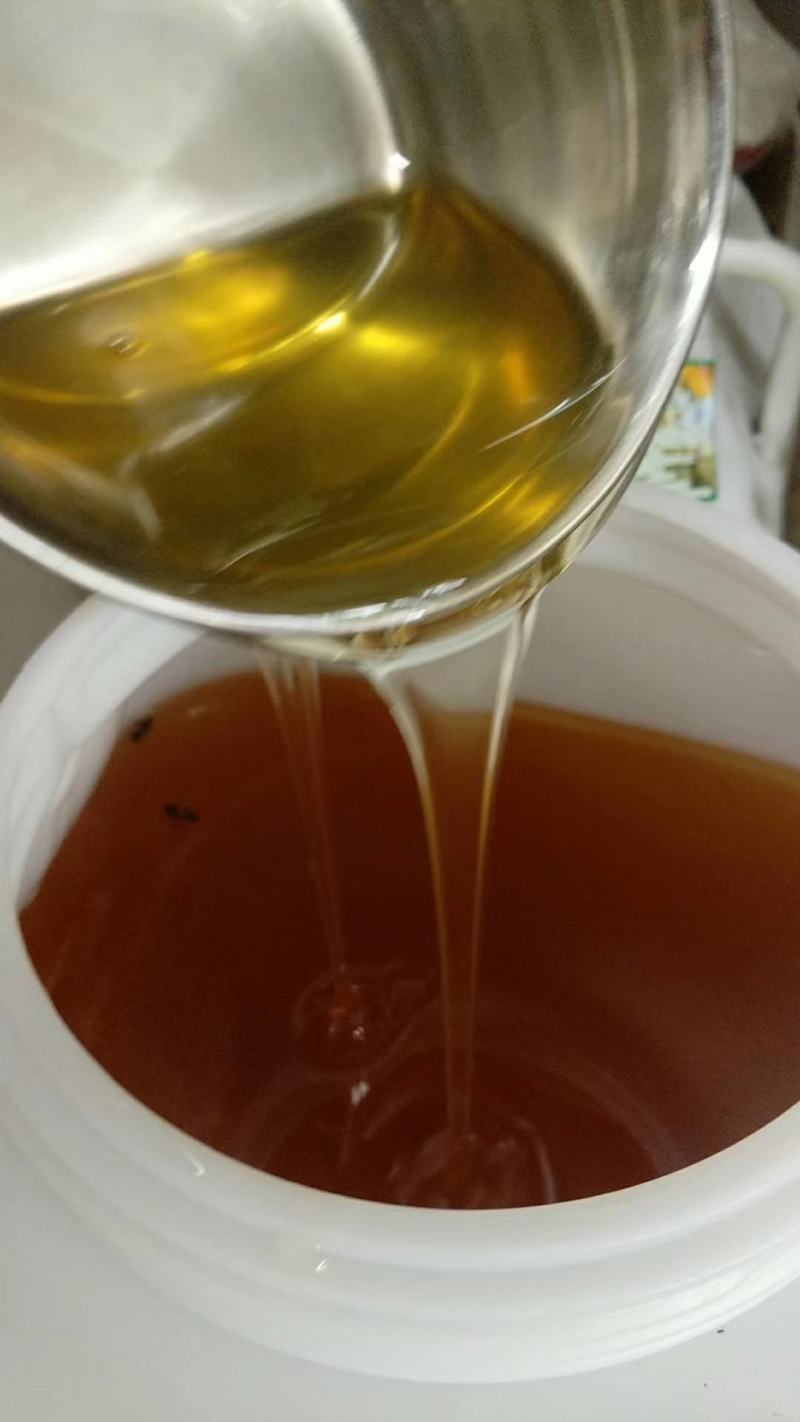东北特产蜂蜜原蜜椴树蜜，蜂场直发大量购价格更优惠